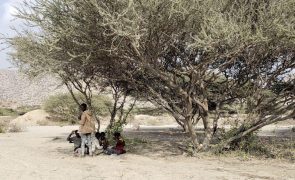 Corno de África é a região mais vulnerável às alterações climáticas