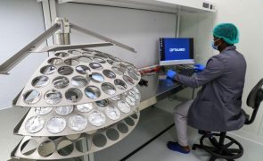 Angola ganha primeira fábrica de lentes oftálmicas orçada em 8,8 ME
