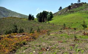 Investimento de 72 ME quer valorizar Parque Nacional da Peneda-Gerês