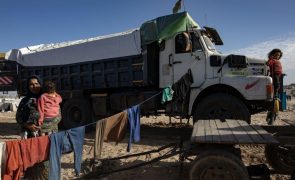 Doze mil camiões com mais de mil toneladas chegaram a Gaza