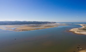 IPMA estuda crescimento excessivo de algas na Lagoa de Óbidos