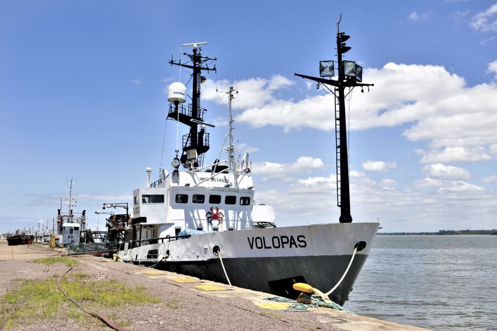 Marinheiros russos no porto de Maputo colocam cartaz a pedir regresso a casa