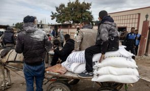 França decide congelar fundos para agência da ONU de assistência aos refugiados palestinianos