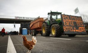 Governo francês tenta acalmar protestos de agricultores com novas medidas