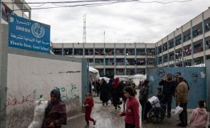 Suécia anuncia suspensão do financiamento à UNRWA