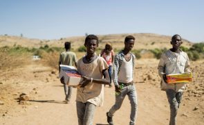 Centenas de etíopes morreram à fome e milhões precisam de ajuda alimentar de emergência