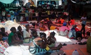 Violência provocou deslocamento de cerca de 170 mil crianças no Haiti