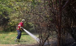 Sertã reforça bombeiros com mais equipas de intervenção permanente