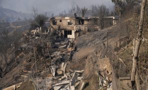 Sobe para 46 o número de mortos devido aos vários incêndios florestais no Chile