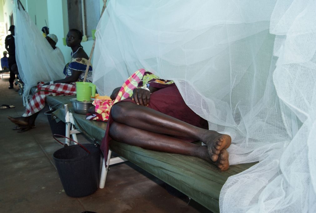 OMS alerta para agravamento de casos de cólera na África Oriental e Austral