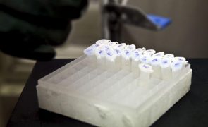 Universidade de Coimbra desenvolve solução injetável para regeneração de tecidos