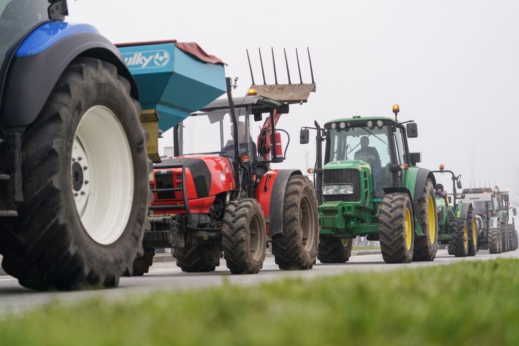 Protesto de agricultores obriga ao corte do nó de acesso à A4 e IP2 em Macedo de Cavaleiros