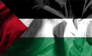 Centenas de personalidades pedem reconhecimento do Estado da Palestina