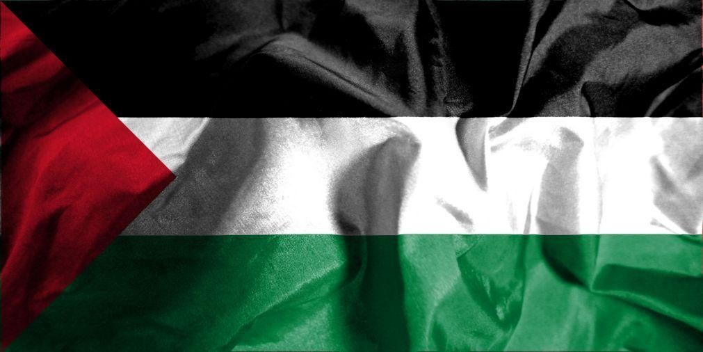Centenas de personalidades pedem reconhecimento do Estado da Palestina