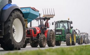 Movimento Cívico de agricultores espera compromisso do Governo e assinala progressos