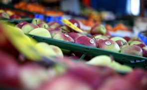 Exportações de frutas, legumes e flores batem novo recorde de 2.300 ME em 2023