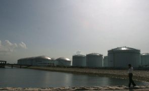 OPEP confirma aumento do consumo de petróleo impulsionado pela China e transportes