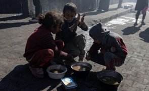 PAM suspende de novo ajuda alimentar no norte da Faixa de Gaza
