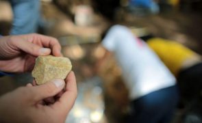 Neandertais usavam cola para fazer ferramentas de pedra
