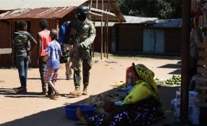 Parlmento moçambicano preocupado com nova onda de violência em Cabo Delgado