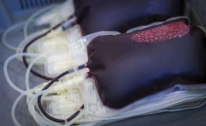 Federação apela à doação de sangue para garantir resposta às necessidades