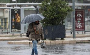 Sete distritos de Portugal continental sob aviso amarelo devido a vento forte