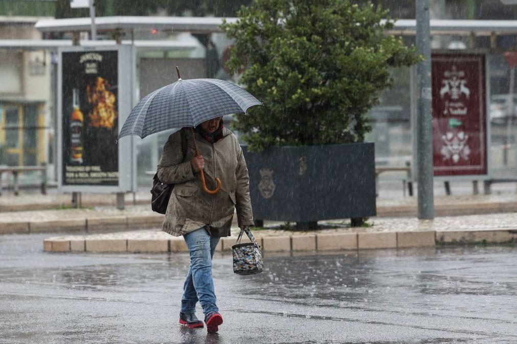 Sete distritos de Portugal continental sob aviso amarelo devido a vento forte