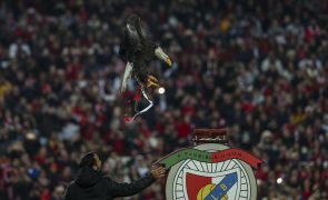 Benfica conquista bronze na Taça dos Campeões Europeus masculina de corta mato