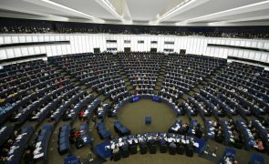 Eurodeputados aprovam alargamento de lista de crimes ambientais e novas penas