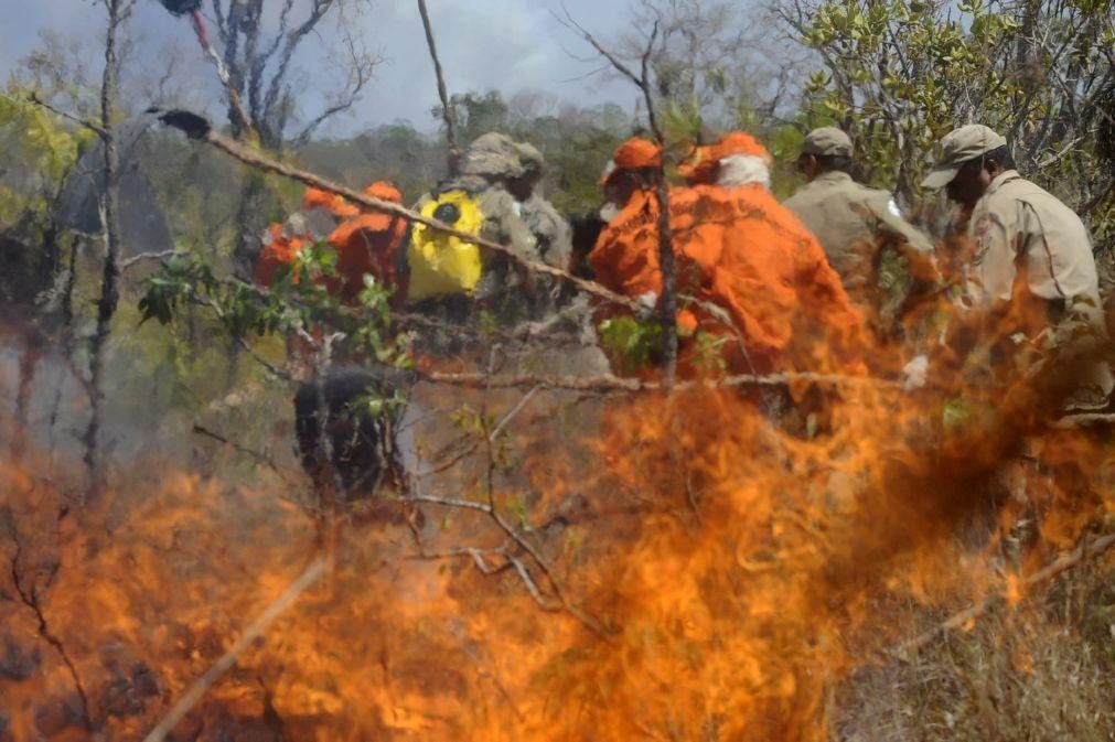 Incêndios florestais no Brasil  destroem 10.298 quilómetros quadrados em janeiro