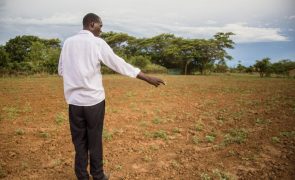 Zâmbia declara castástrofe nacional devido à seca causada pelo El Niño