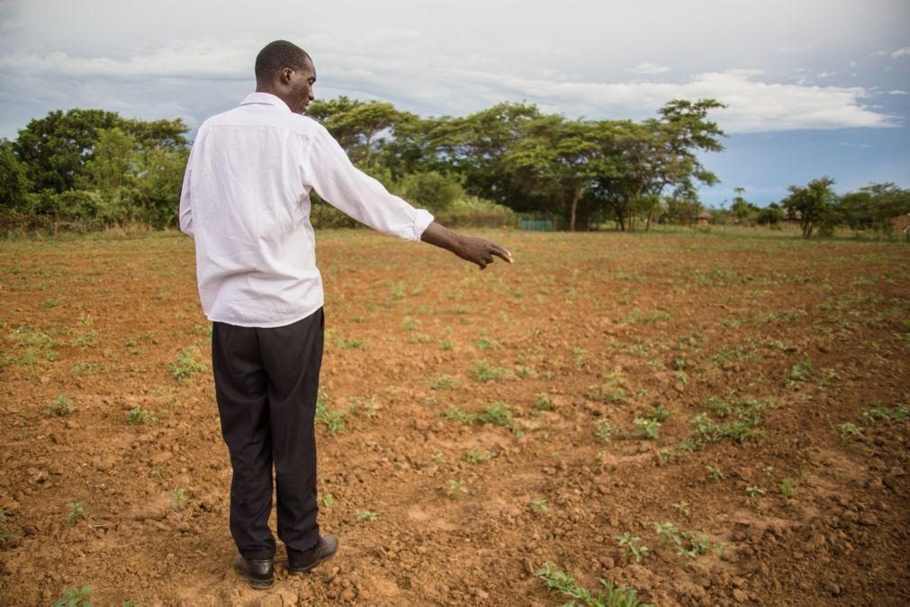 Zâmbia declara castástrofe nacional devido à seca causada pelo El Niño