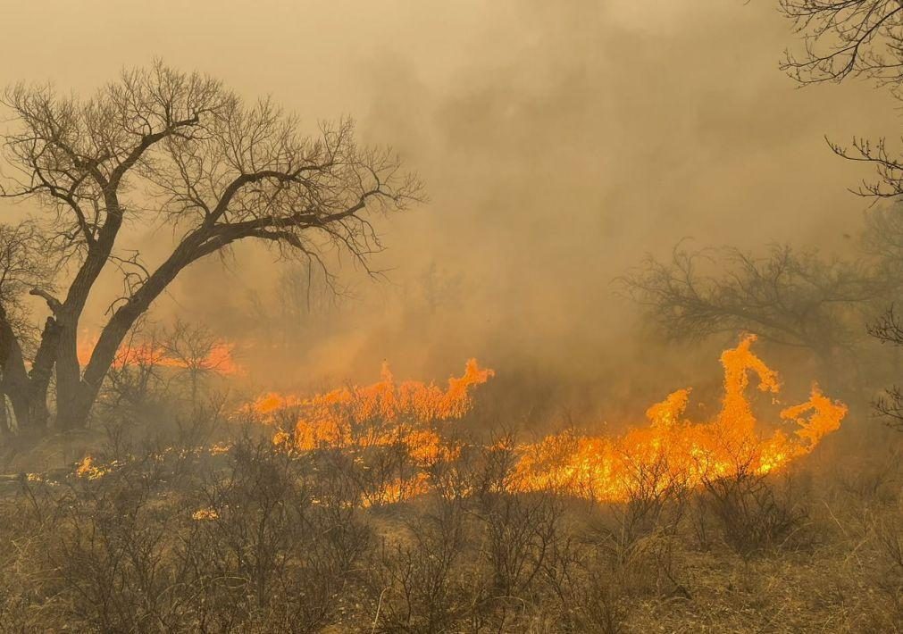 Pelo menos um morto e quase meio milhão de hectares devastados por incêndios no Texas