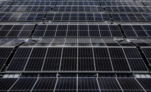 Renováveis abasteceram 88% do consumo de eletricidade em fevereiro - REN