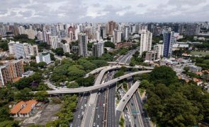 São Paulo regista recorde de ataques de escorpiões