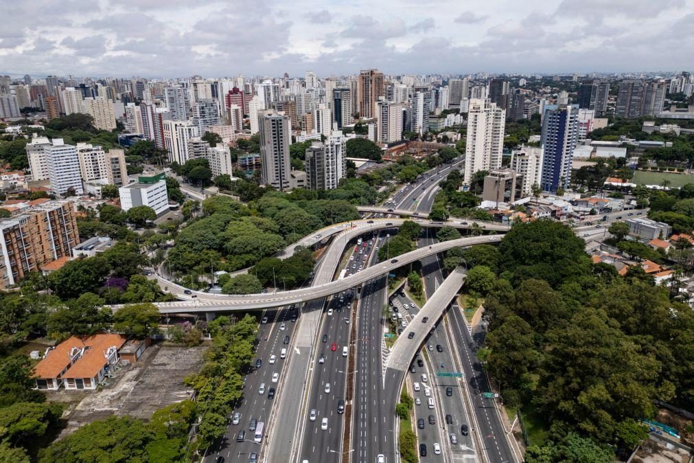 São Paulo regista recorde de ataques de escorpiões