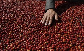 Menor produção, alterações climáticas e ataques no Mar Vermelho pressionam preço do café