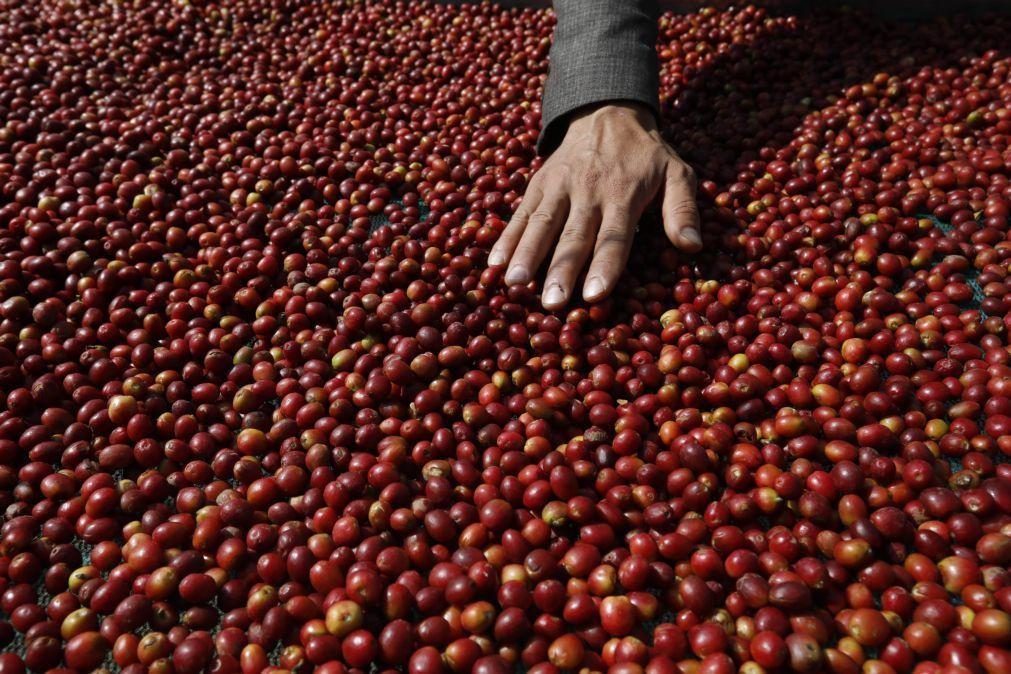 Menor produção, alterações climáticas e ataques no Mar Vermelho pressionam preço do café