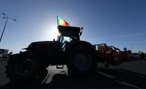 Agricultores algarvios convocam marcha lenta para a EN125 na sexta-feira
