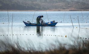 APA acompanha evolução da Lagoa de Santo André e afasta risco de degradação da água