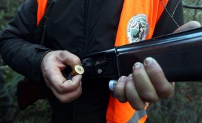GNR deteve 113 pessoas e detetou 140 crimes relacionados com a caça