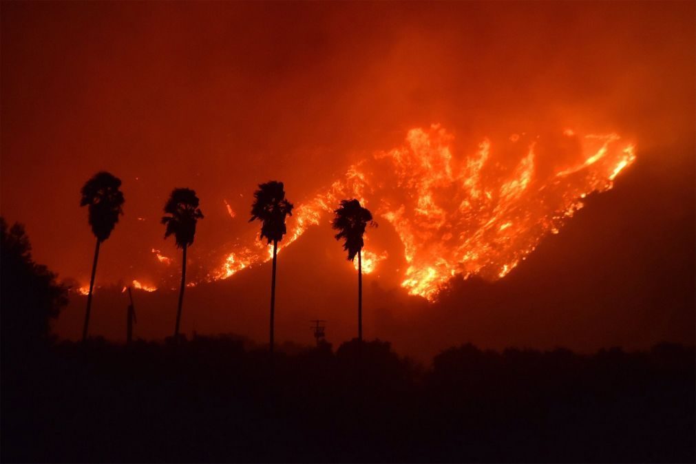Fogo florestal na Califórnia obriga à evacuação de 8.000 casas