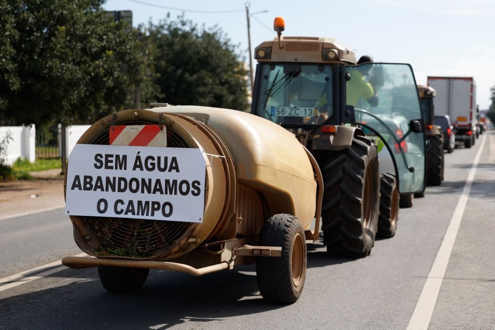 Agricultores algarvios apelam ao próximo Governo que tome medidas contra a seca