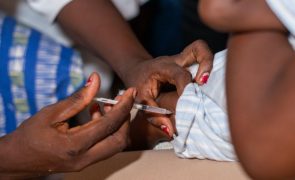 Vacina de baixo custo contra a malária chega a África em maio
