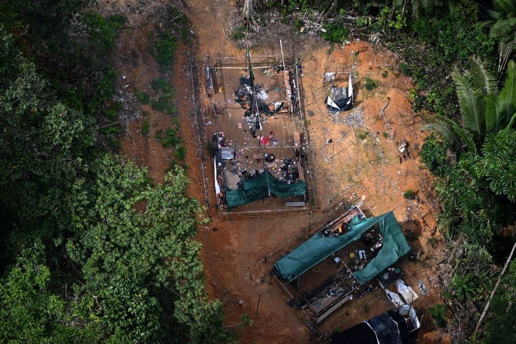 Mineração destrói quatro campos de futebol/dia em terras indígenas na Amazónia brasileira