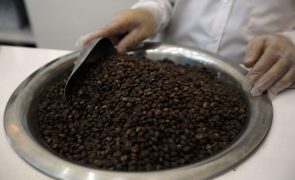 Brasil regista aumento de 48,9%  nas exportações de café em fevereiro