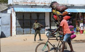 Três camponeses raptados por terroristas no norte de Moçambique