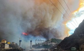 Incêndio florestal obriga à retirada de 3.400 pessoas no centro da China