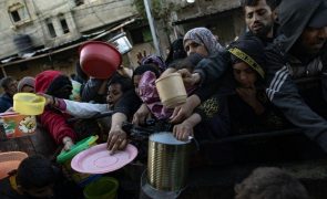Metade dos habitantes da Faixa de Gaza está em situação de fome catastrófica