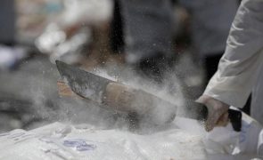 Vestígios de cocaína nas águas residuais aumentam em 50 cidades europeias